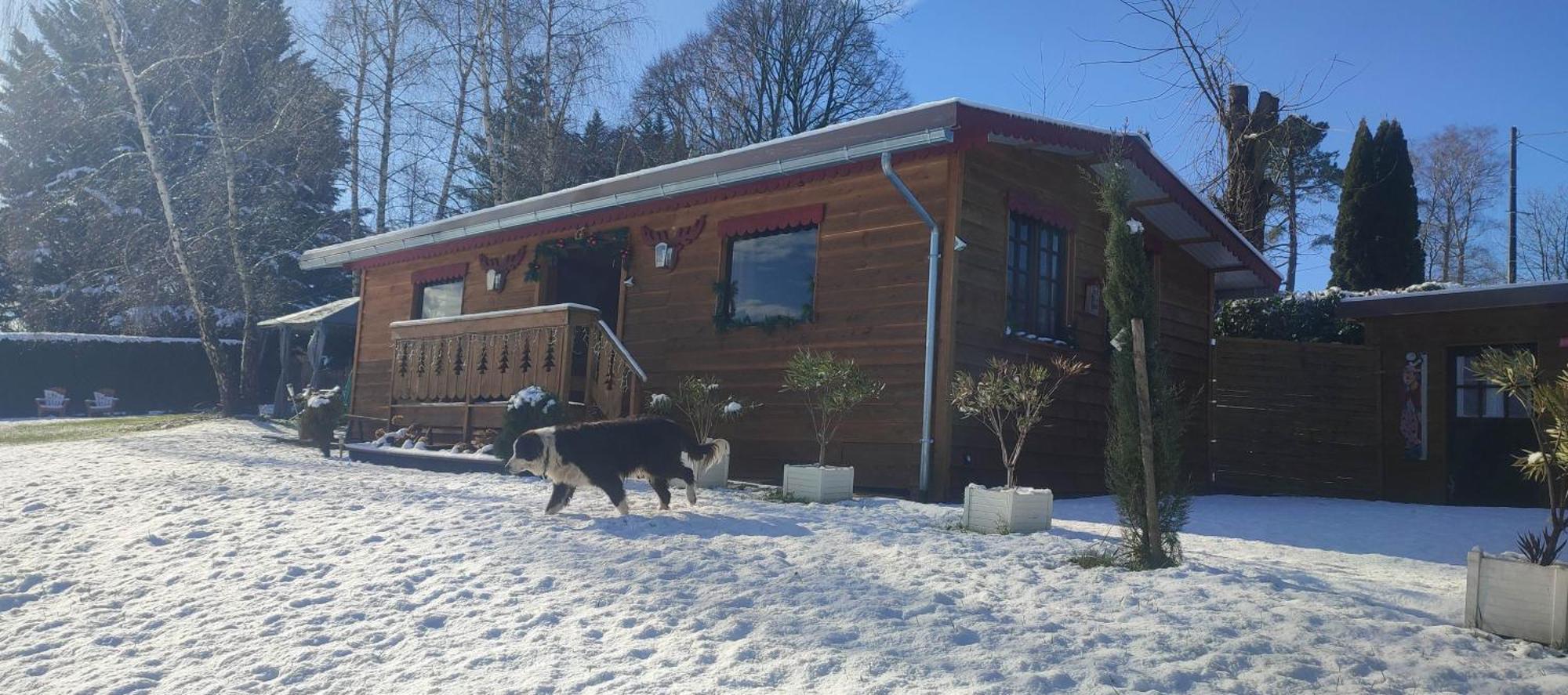 Domaine Le Lanis "Cabane De Pauline" Saint-Girons  Exterior photo
